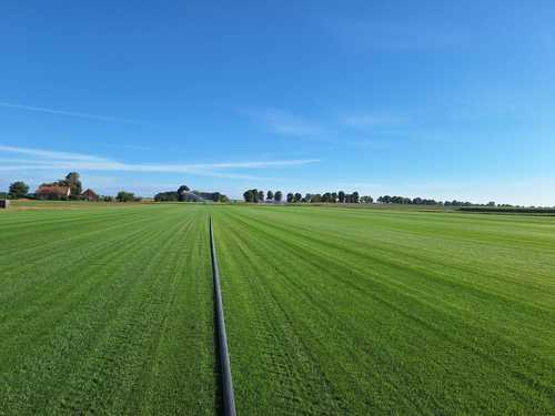 Trawa z rolki: dlaczego warto postawić na gotowy trawnik w ogrodzie?